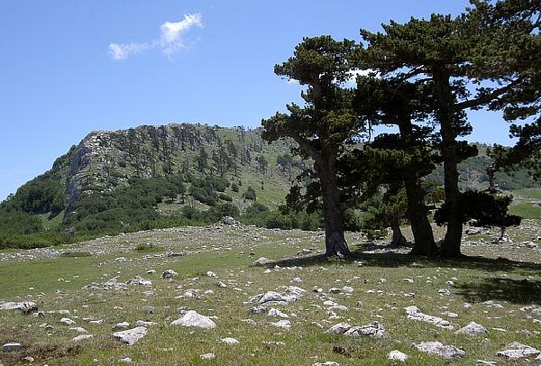 Parco del Pollino