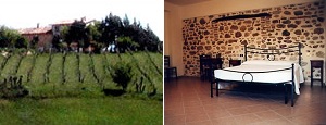 Agriturismo San Vito