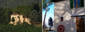 Agriturismo Il Vigneto