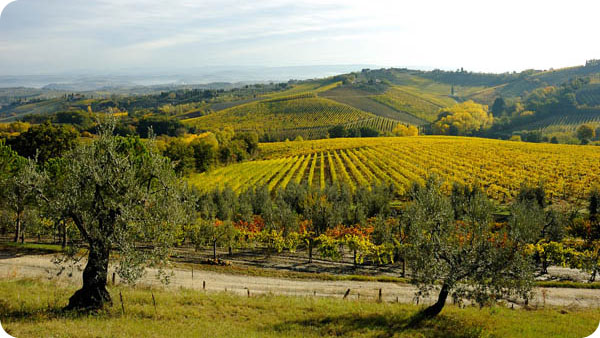 Agriturismo in Toscana