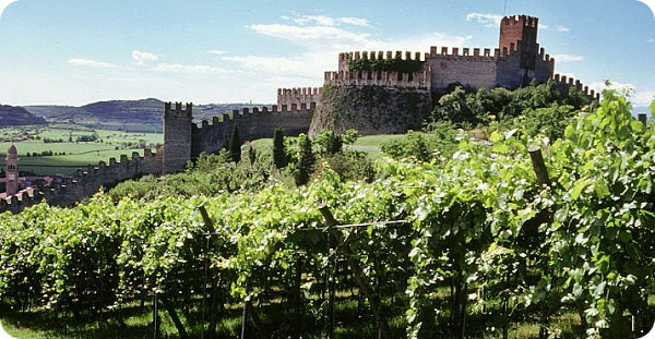 Agriturismo in Veneto