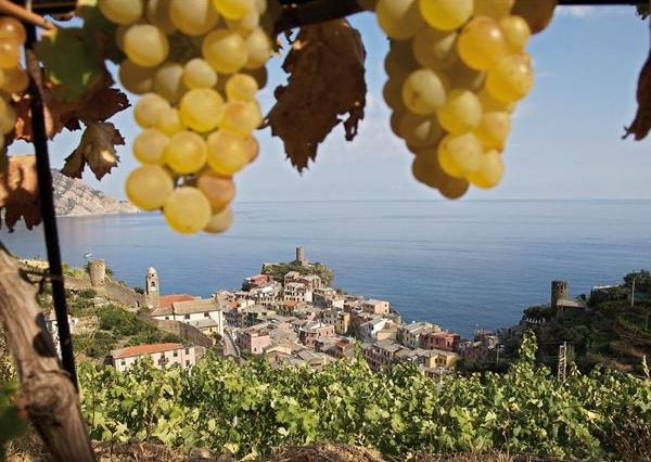 Cinque Terre