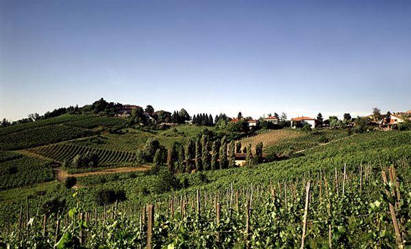 Vigneti dell'Oltrepò Pavese