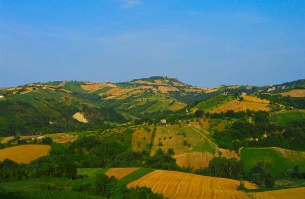 Colline di Fermo