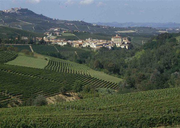 Colline nelle Langhe