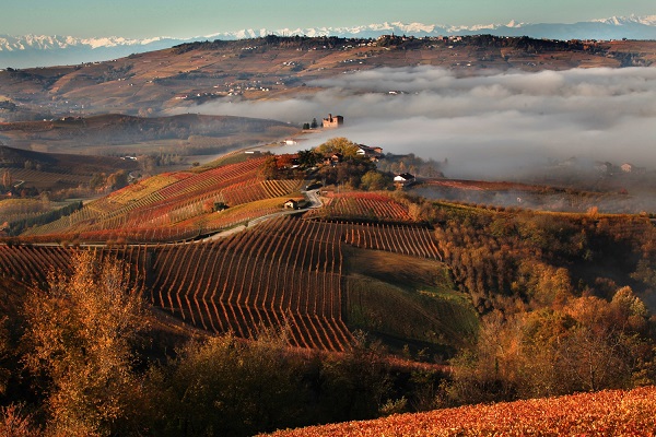 Colline nelle Langhe