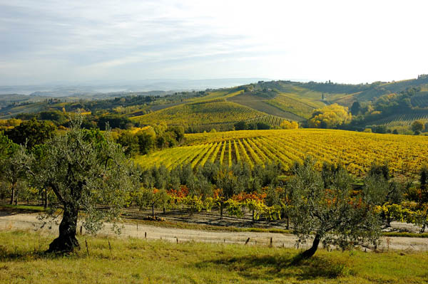 Panoramica del Chianti Fiorentino