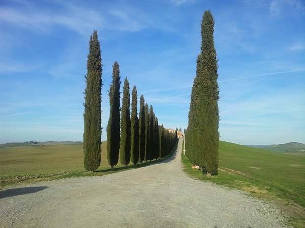 Val d'Orcia