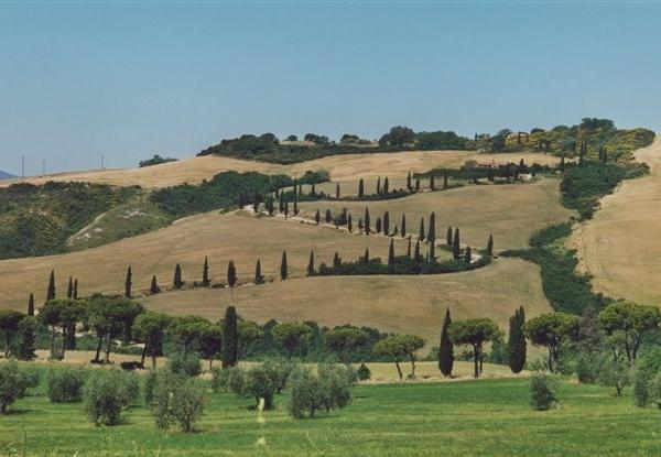 Dintorni di Chianciano Terme