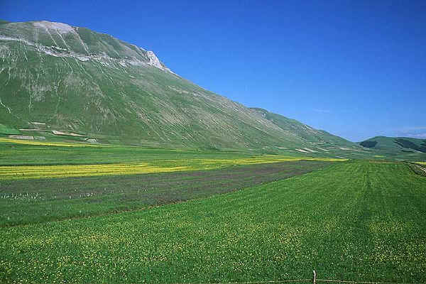 Piana di Castelluccio