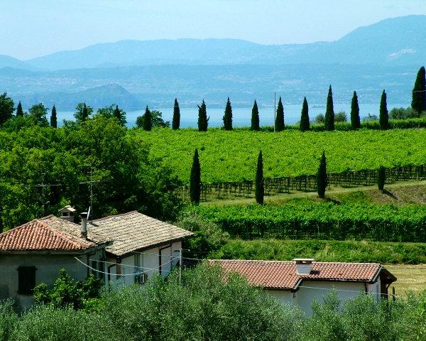 Campagna di Bardolino