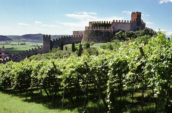 Valpolicella